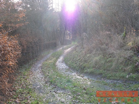 foto05_11303783_16tls.jpg
