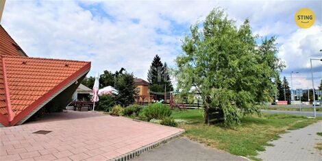 foto02_11302411_1cp7fk.jpg