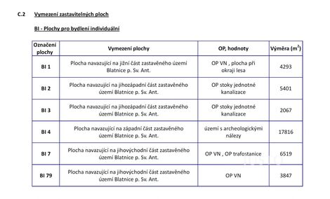 foto02_11133638_coev4.jpg