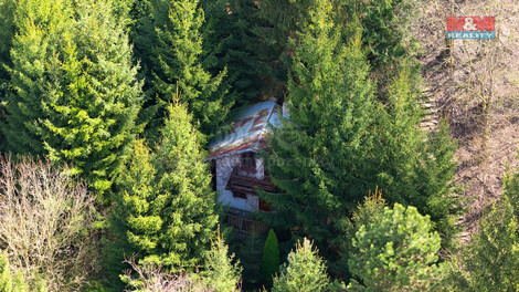 903/foto12_11299189_15etoc.jpg