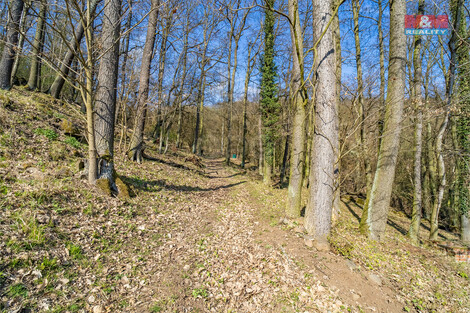 905/foto12_11298142_8ewjw.jpg