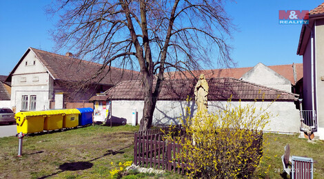 905/foto12_11298176_qzao.jpg