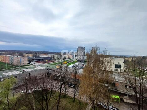foto02_11298062_144yo8.jpg