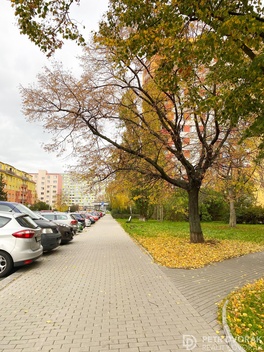 foto05_11292386_37r4a.jpg