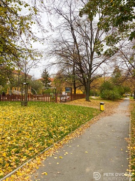 foto05_11292386_71cv0.jpg
