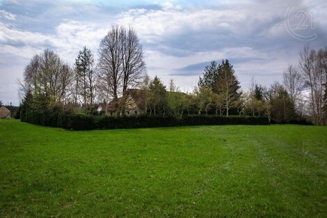 foto04_11299786_3qyy8.jpg
