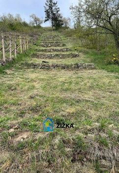foto05_11176245_5tlck.jpg