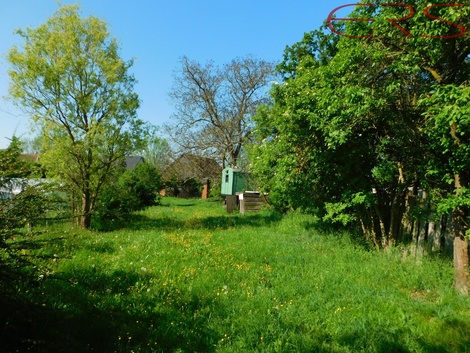 foto05_11304182_7ri0k.jpg