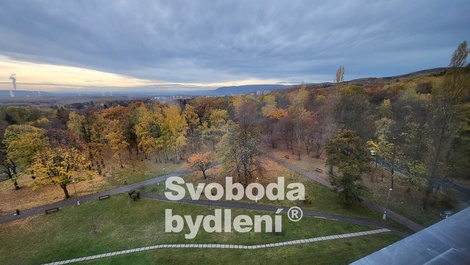 foto05_11134486_7uav6.jpg